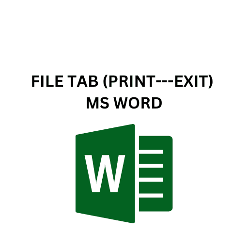 25.FILE TAB (PRINT---EXIT) MS WORD